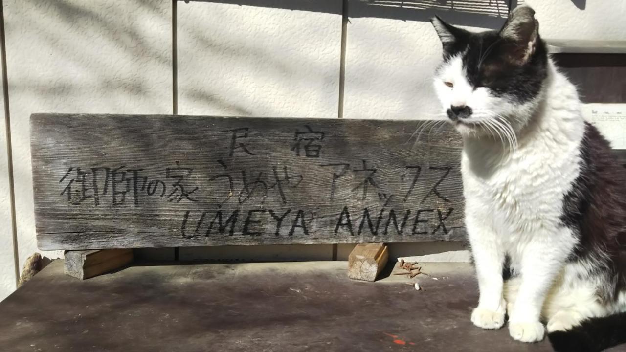 منزل الضيف فوجيكاواجوتشيكو  في Umeya Annex المظهر الخارجي الصورة